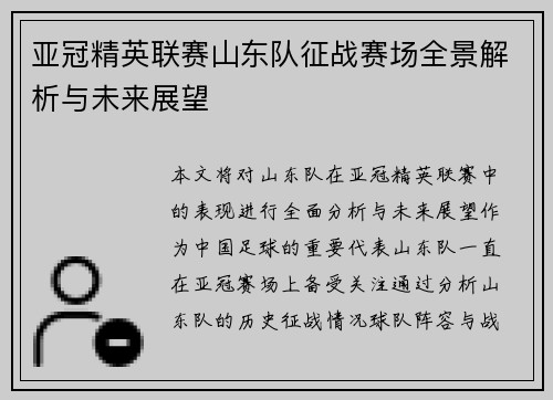 亚冠精英联赛山东队征战赛场全景解析与未来展望